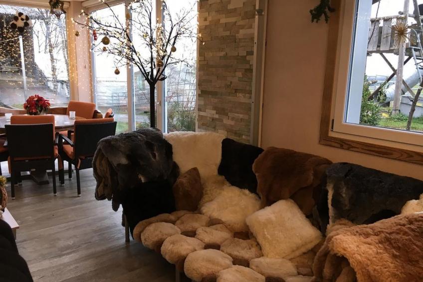 Alpakahof Ferien - foto 32