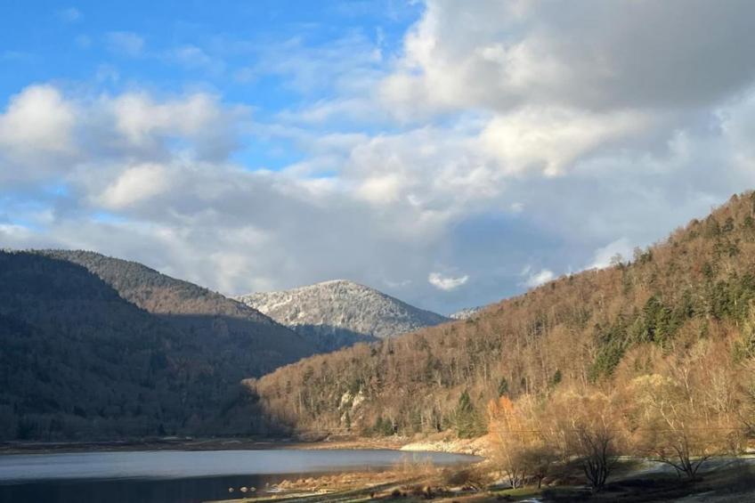 LA POMME DE PIN 2  Appartement avec terrasse - foto 21