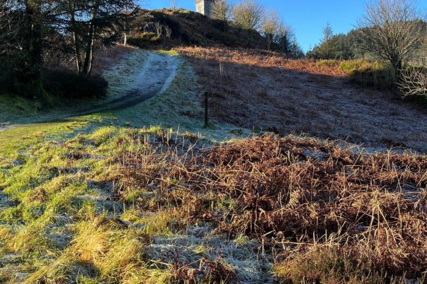 Rockpool Cottage - foto 29