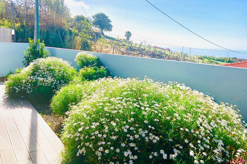 "Villa Pinheira II" - foto 21