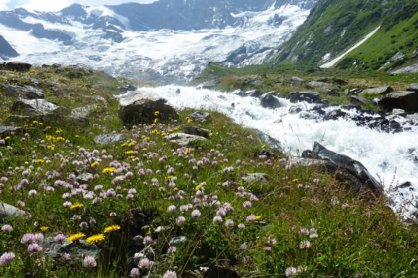 Gernkogelblick - foto 29