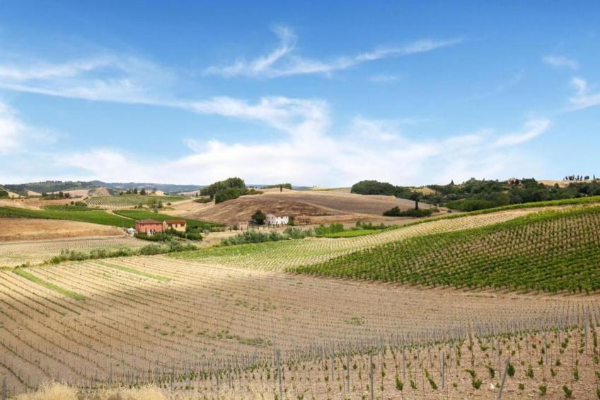 Biancospino - foto 31