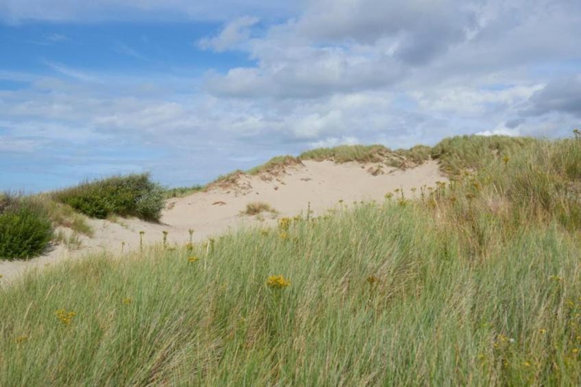 RESIDENTIE CALIFORNIA E4 - foto 18