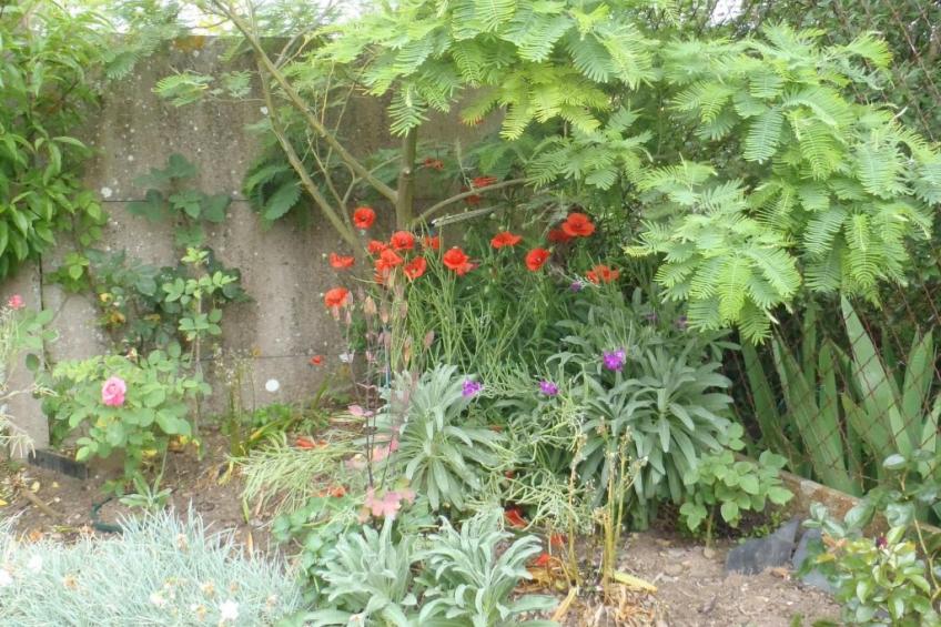 Haus Havre in Portbail - foto 8