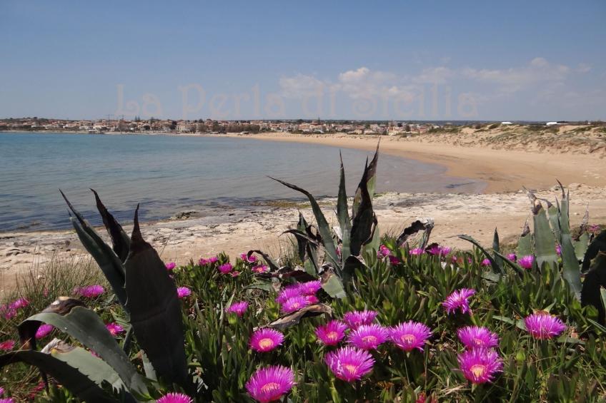 La Perla 8 - foto 44