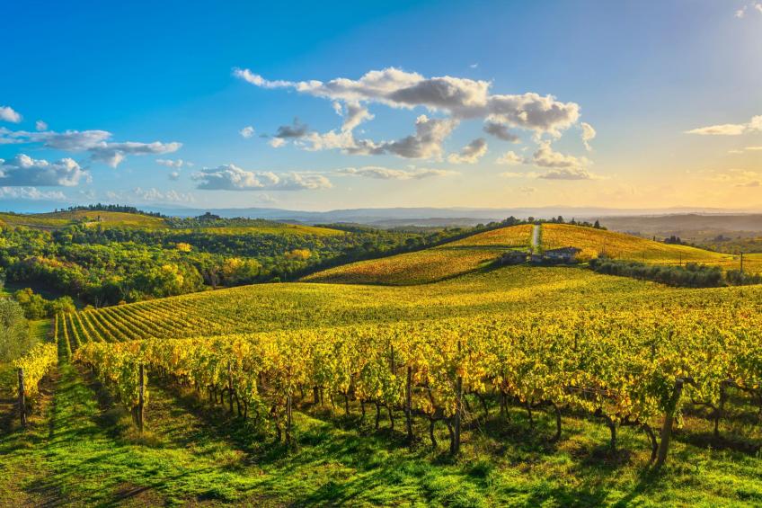 Casale Al Sole Tra Le Vecchie Vigne 6 - foto 31