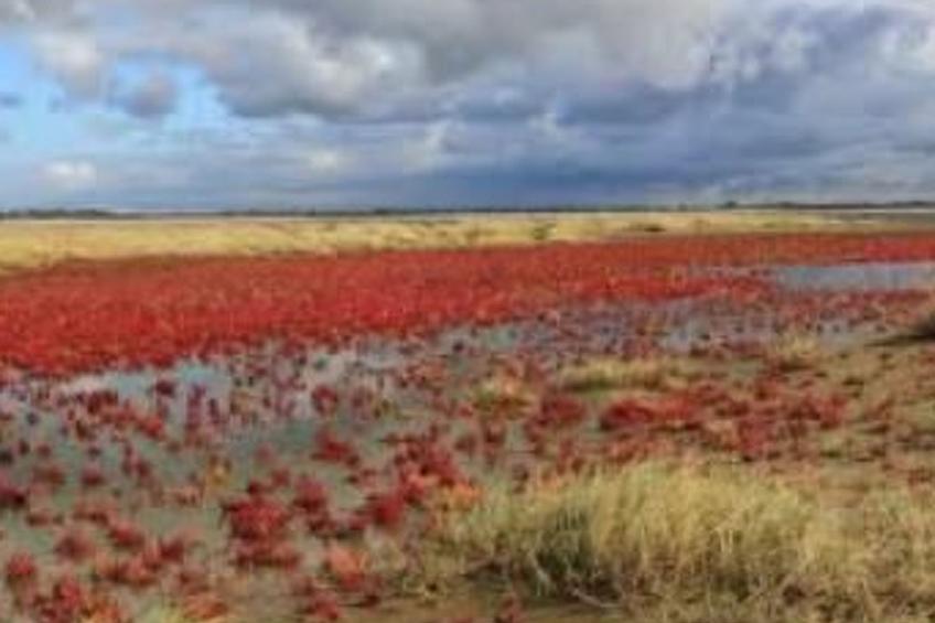 Gemütliches Mobilheim mit 3 Schlafzimmern - foto 14