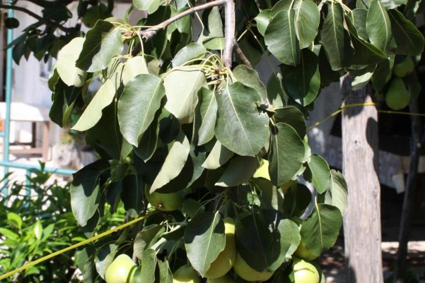 Gemütliche Wohnung Andrea in Opatija - foto 58