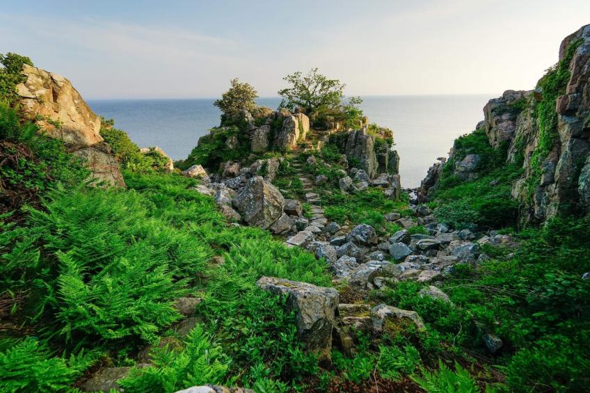 3 room w/seaview-PLUS - foto 28