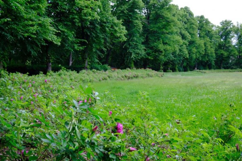 Little Hanoi - foto 36