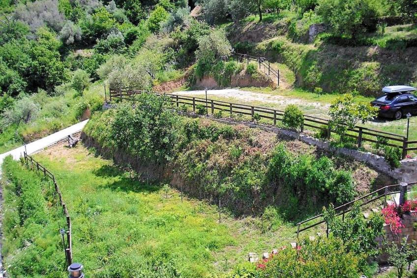 Flache Zeder - foto 21