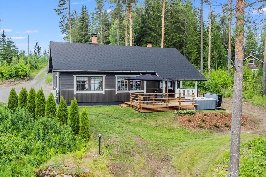 Hanhenpesä - foto 29