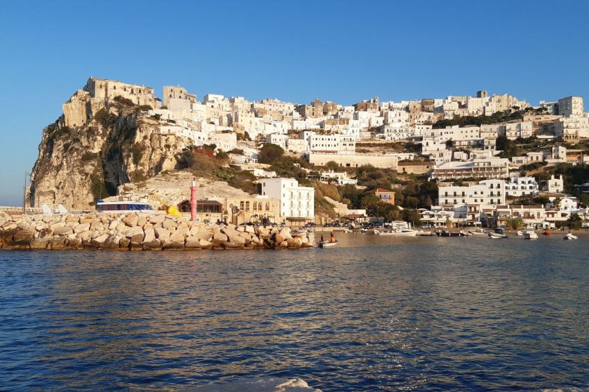 mit Garten und Kinderschwimmbad - foto 28