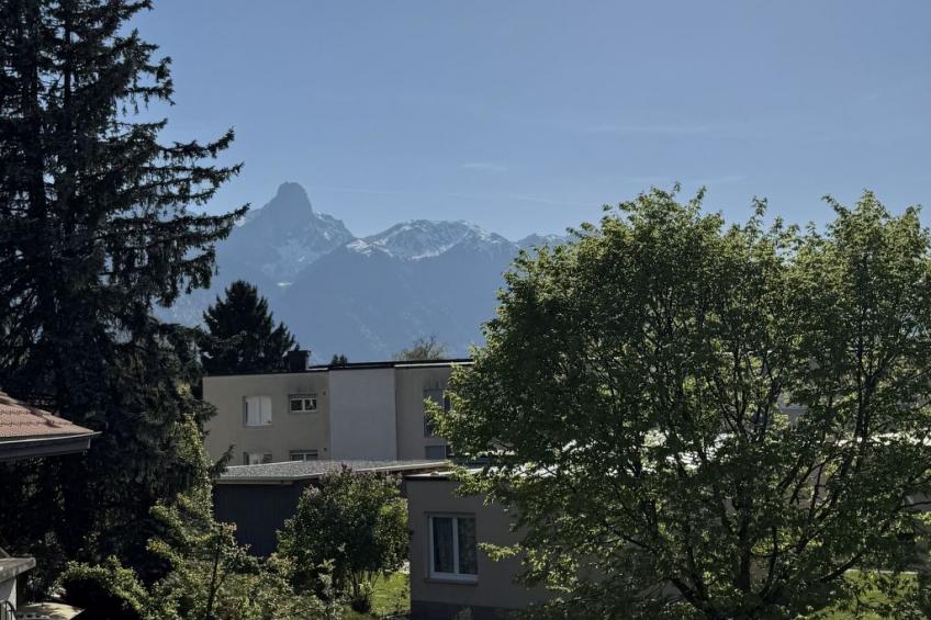 FEWO Stockhornblick Appartement/Fewo Appartement/Fewo - foto 39