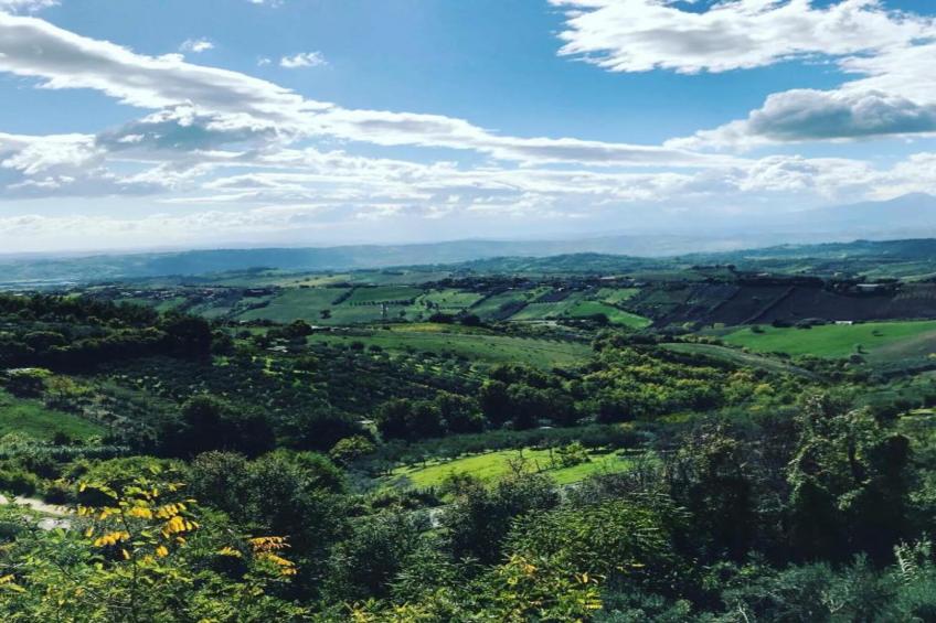 Apartment Lavanda - foto 37