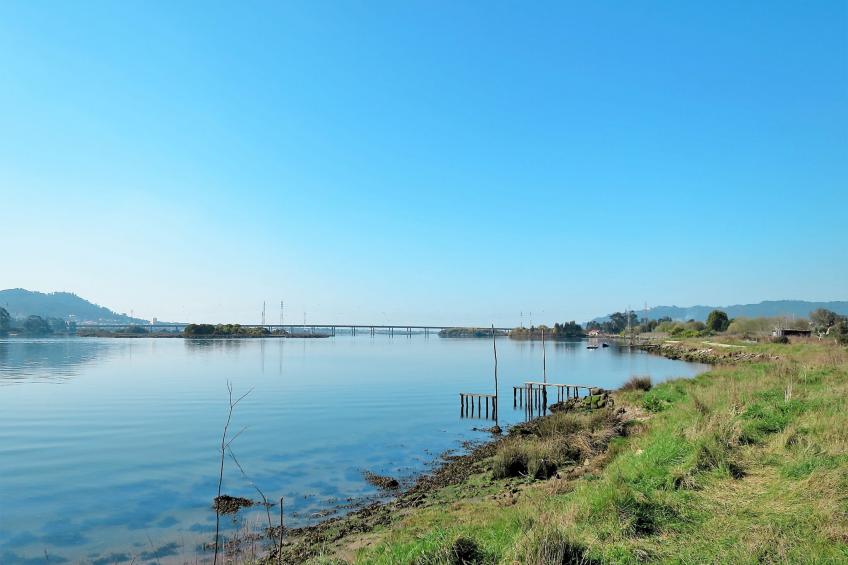 Stilvolle Villa in Viana do Castelo - foto 46