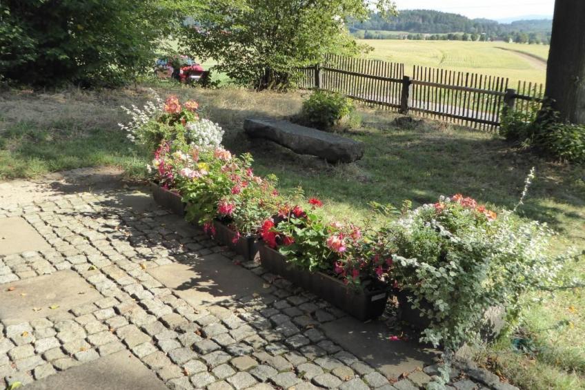 mit Blick auf die Berge - foto 16