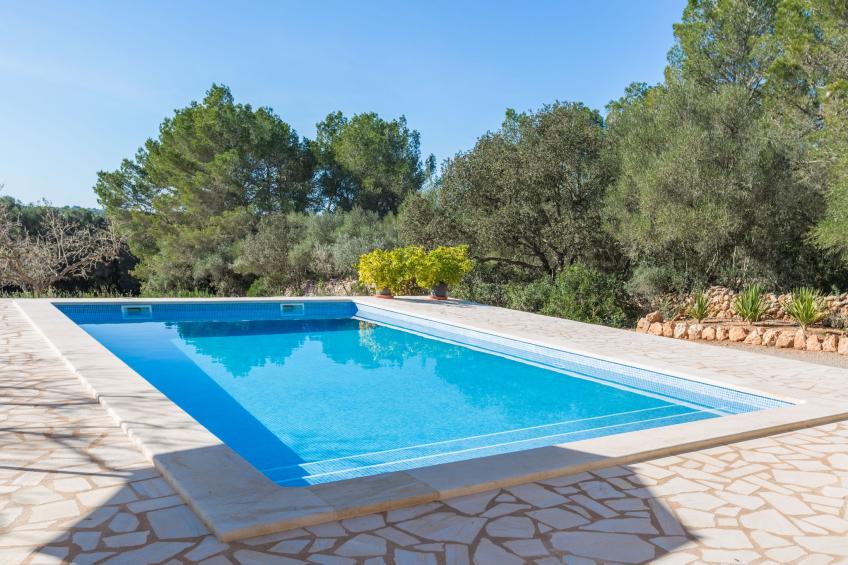 RomanÍ Des Figueral - foto 2