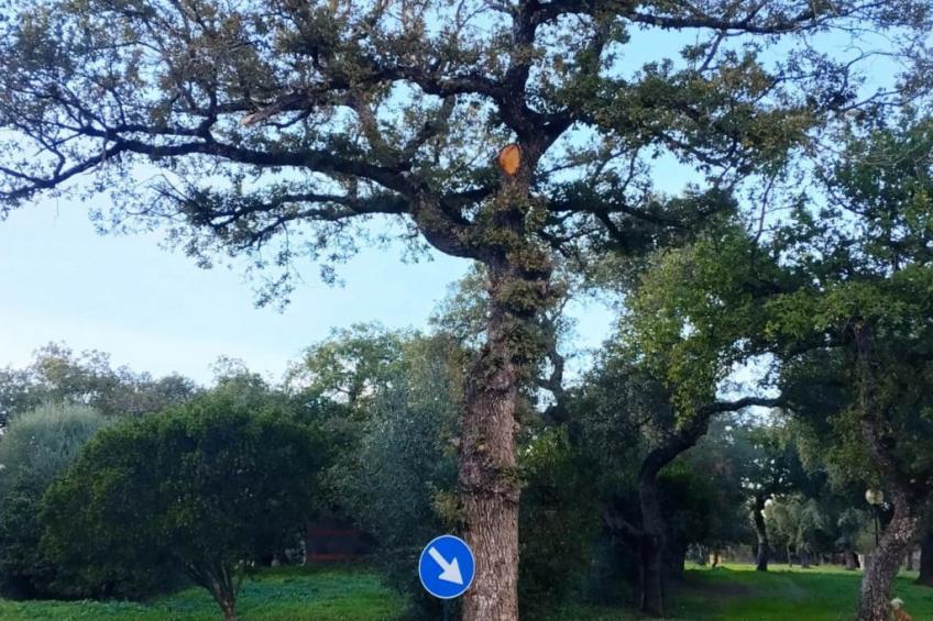 "App. max 6 Pax" - foto 25