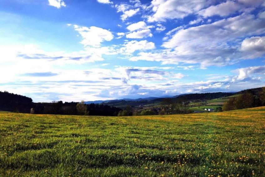 Bayerischer Wald - foto 31