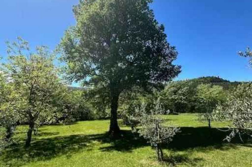 Holiday home mit Klimaanlage und Pool - BF-XK758 - foto 4