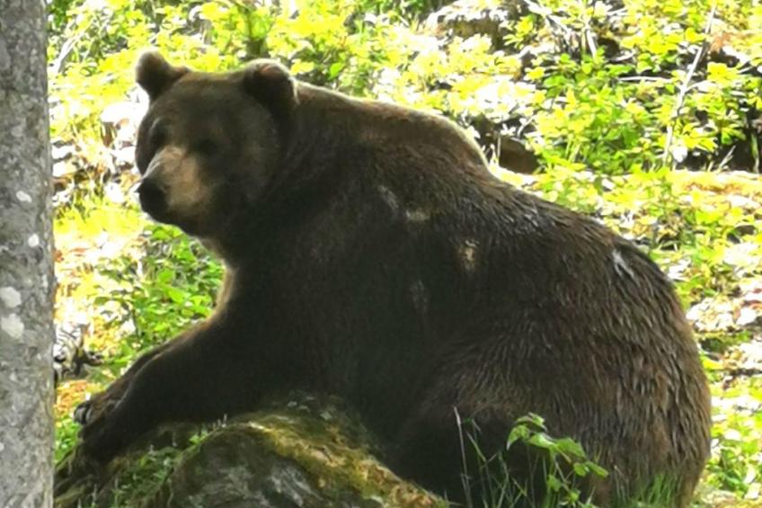 AnNo Wohlfühlen Bach - foto 33