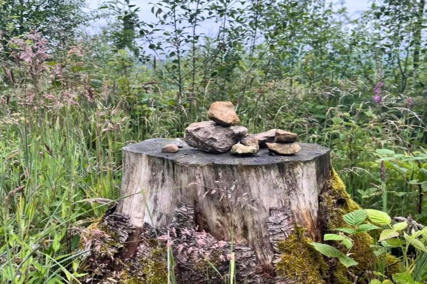 Ferienhaus in Steinheim - foto 14