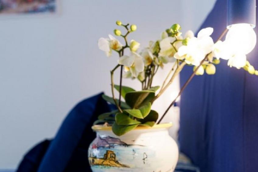 Sofi´ Sorrento suite: Positano - foto 28