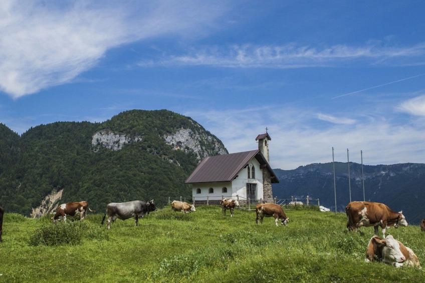 Freistehendes Ferienhaus in Posina mit Kleinem G - foto 60