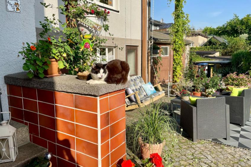 Naturblick Karla Rößler - foto 5