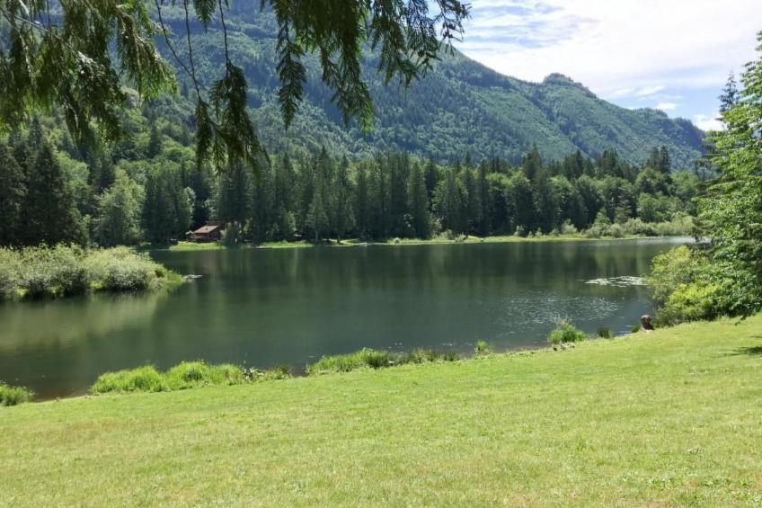 Lakeside Real Log Cabin mit privatem Dock, Haustiere OK - foto 28