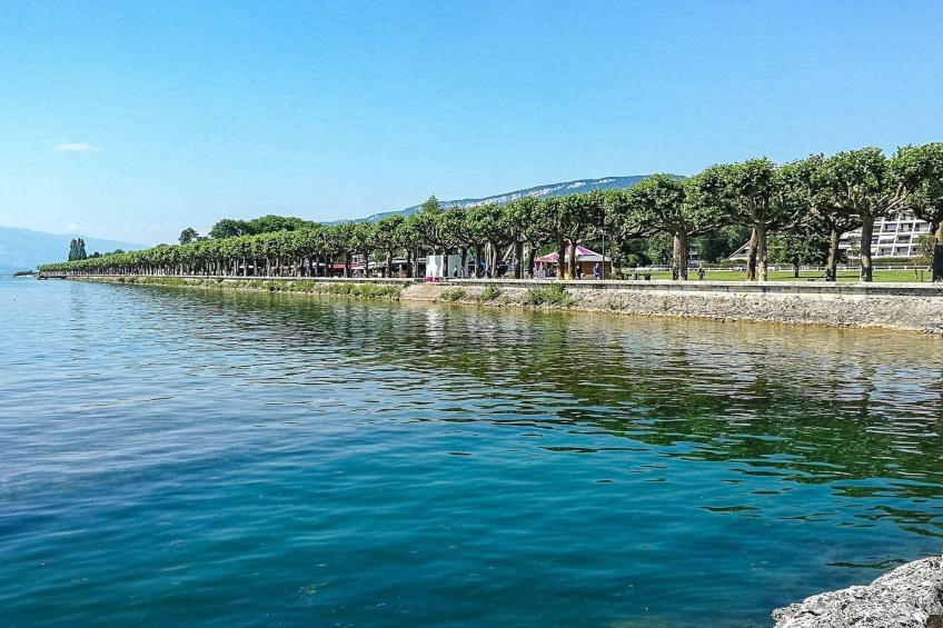 Résidence La Maison Sulpice - foto 2