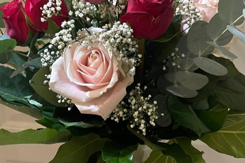 in Linum mit Garten, Terrasse und Grill - foto 25