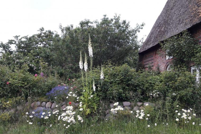 Fewo Meeresbrise - foto 16