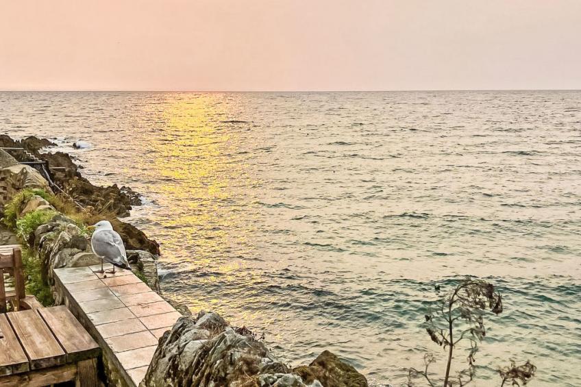 Dolphin Cottage - foto 9