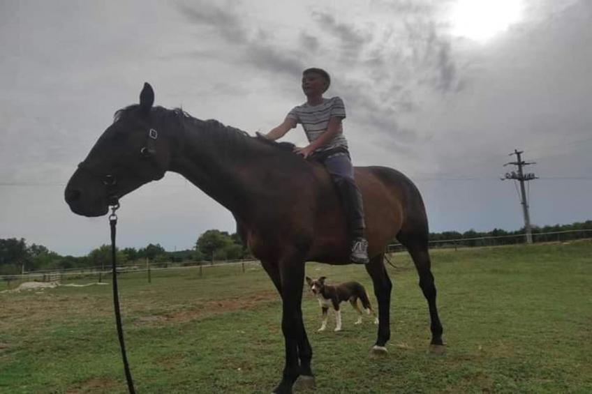 Apartments Indira - Tara - One Bedroom Apartment - foto 36