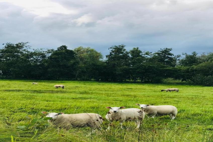 Chalet Resort Venetie Giethoorn - foto 34