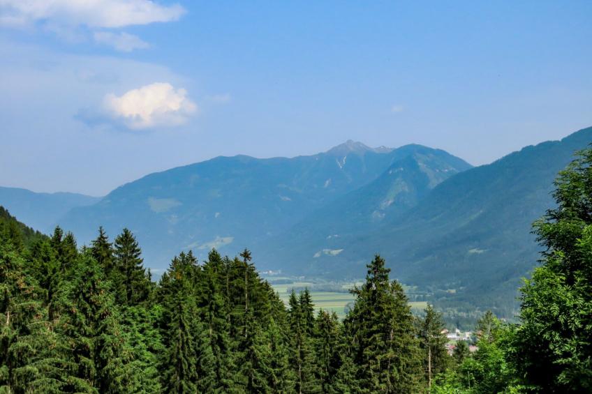 Waldpension in Steinfeld - foto 16