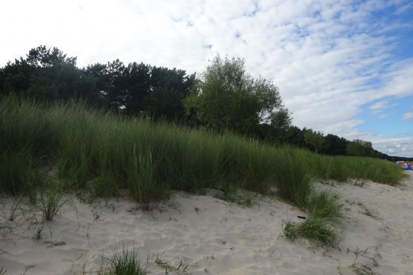 Sweet Home - foto 32