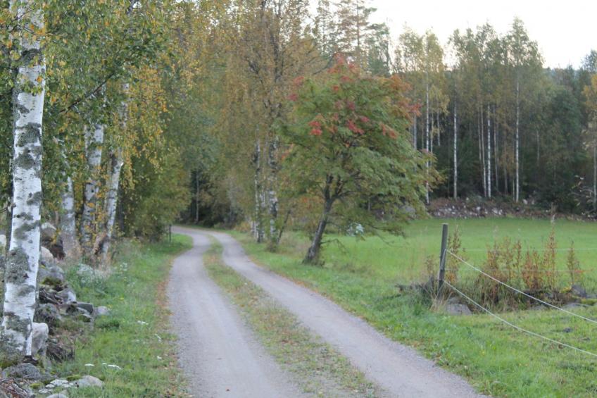 Anwesen mit eigenem Garten und Grill - foto 10