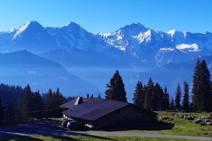 Chalet Lilo Big view - foto 26