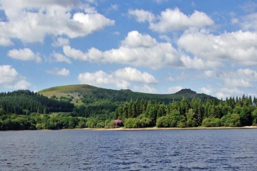 Little Dunley - Vine Lodge - foto 20