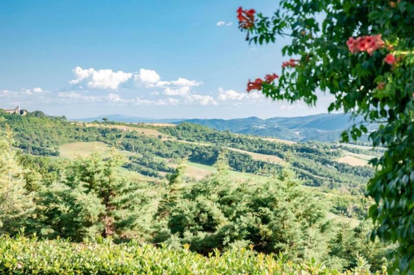 Villa Monte Acuto - foto 39