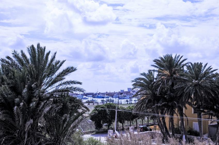 Bed and Breakfast La Fenice - foto 14