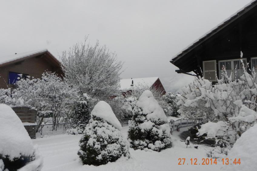 Stähli-Huus - foto 16