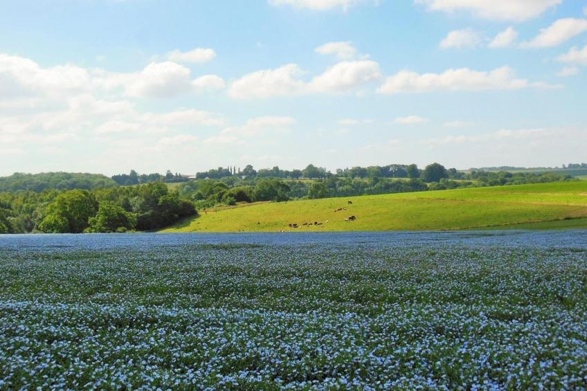 für acht Personen - foto 33