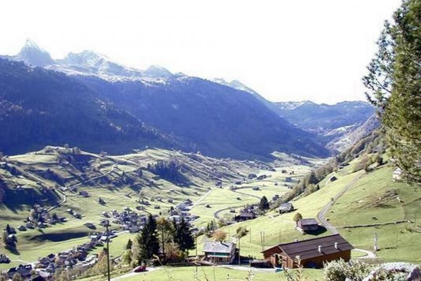 Gubel - foto 13