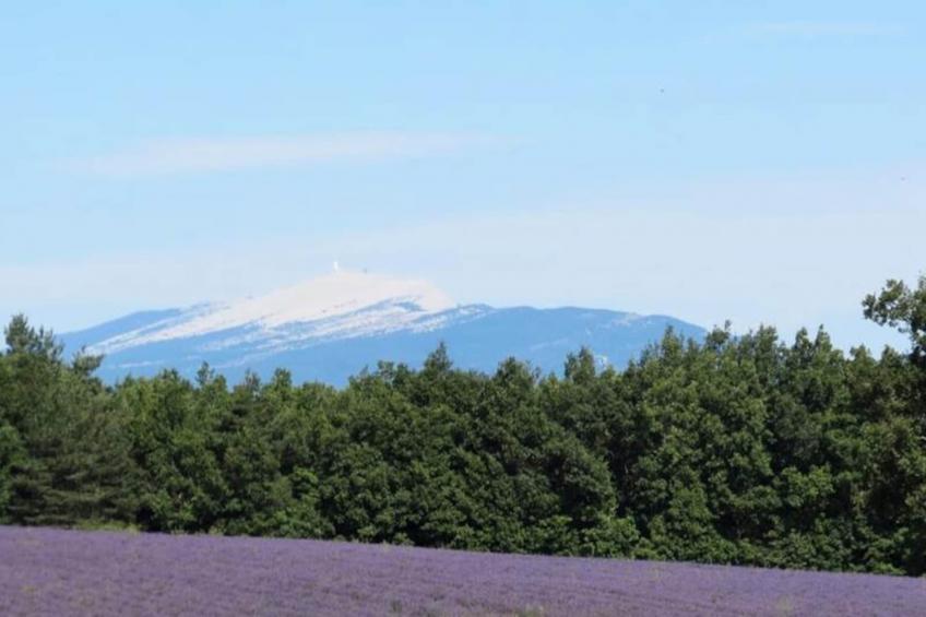 Mas La Miellerie | Charme Authentique Et Nature - foto 70