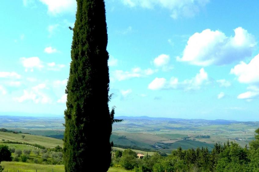 Haus Claudia mit schönem Garten - foto 8
