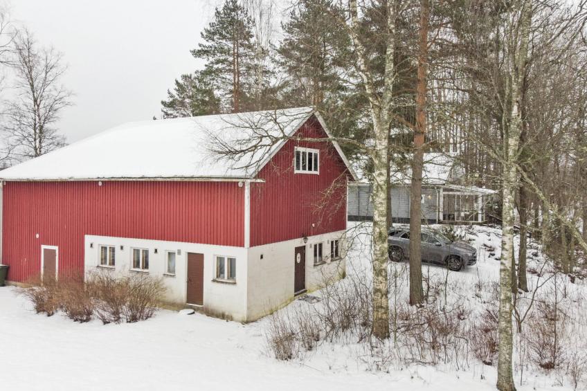 Aurinko vanaja - foto 18